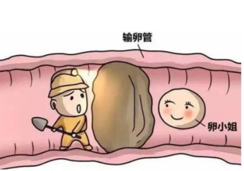 上海试管供精：﻿胚胎移植后的饮食有讲究，帮助你更好地着床