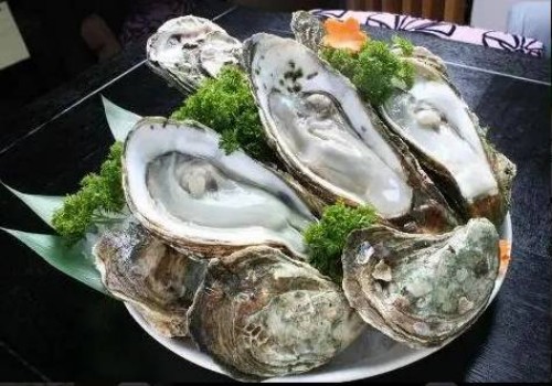 上海代生供卵公司：﻿想要生兔宝宝可以注意一下这些，做好备孕措施可以生出更健康的宝宝