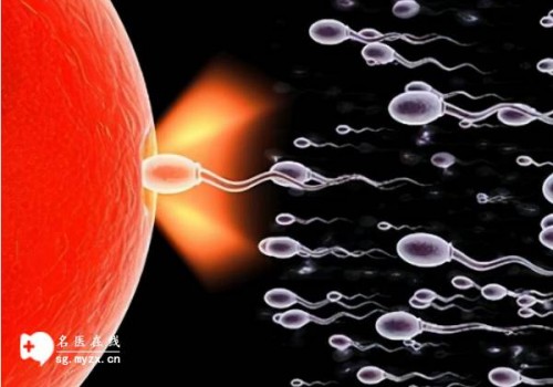 孕前检查和婚检不矛盾，孕前检查让怀孕更健康